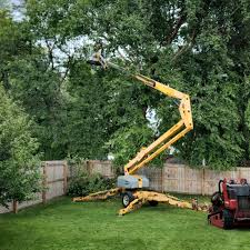 Best Hazardous Tree Removal  in Cressona, PA